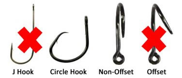 Striped Bass Anglers Required To Use Non-Offset Circle Hooks When Fishing  With Natural Bait –